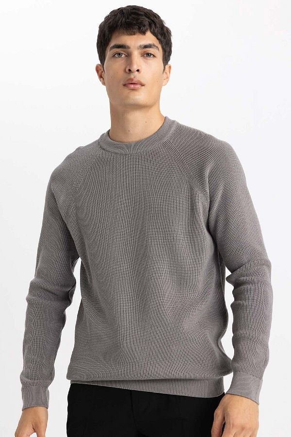 DeFacto-Standard-Passform, normaler Schnitt, Rundhalsausschnitt, Basic, einfarbig, Strickpullover A8458ax24sp 1