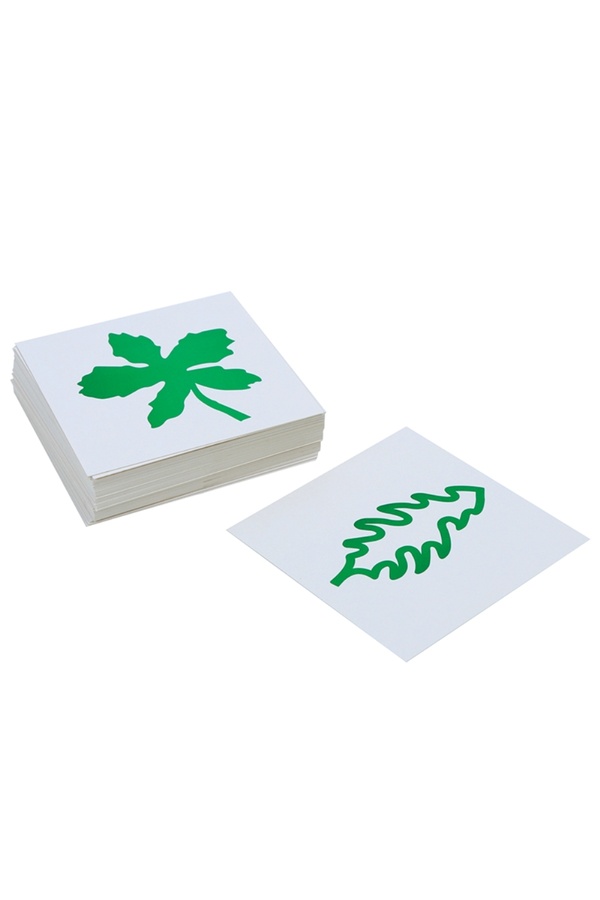 BALATOYZ Montessori Yaprak Kartları Kabin Çalışma Kartları