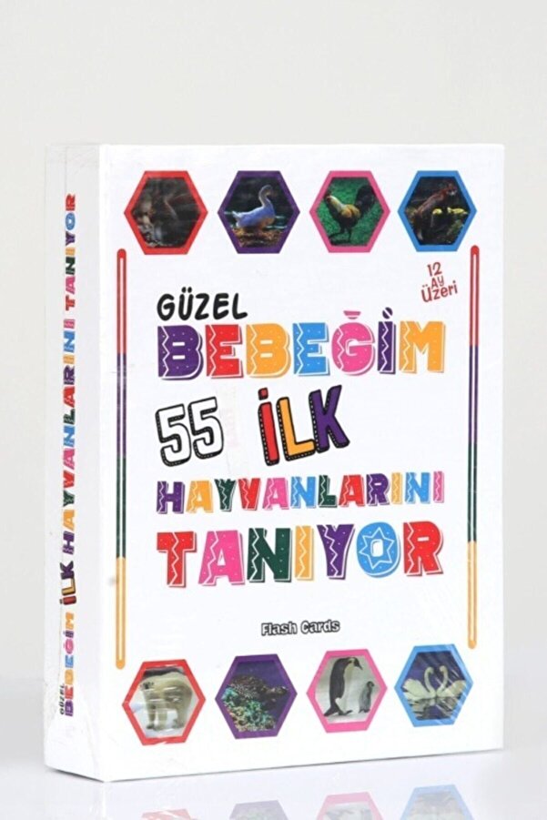 Ritoys Bebeğimin ilk 55 Hayvanları Flash Kartlar