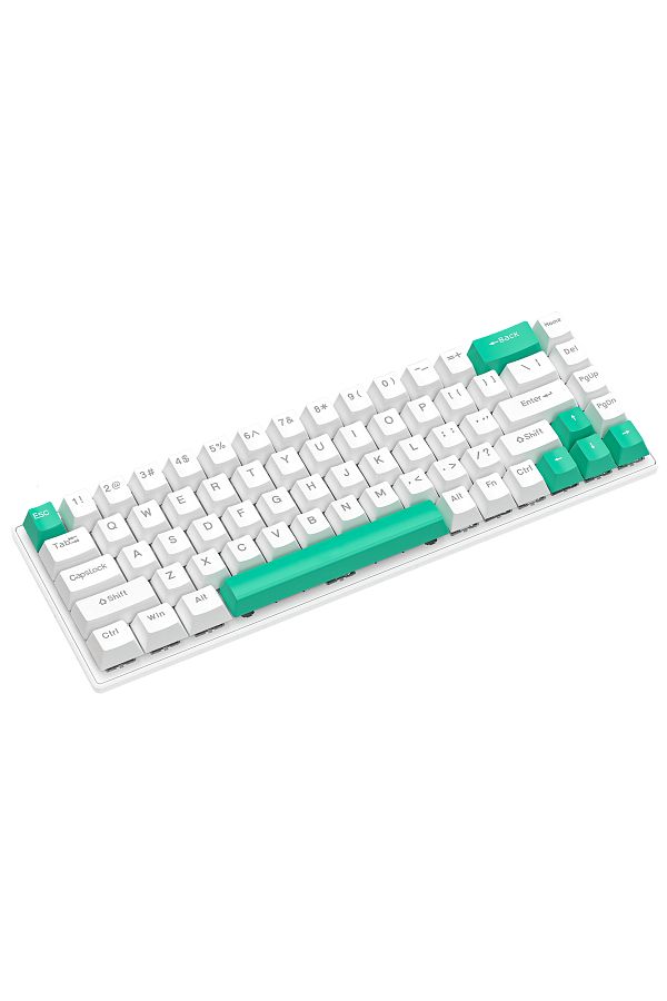 FlashHawk-65% Wired Blue Switch Gaming Keyboard with RGB Backlit, 68 KeysCompact Mechanical Keyboard 1