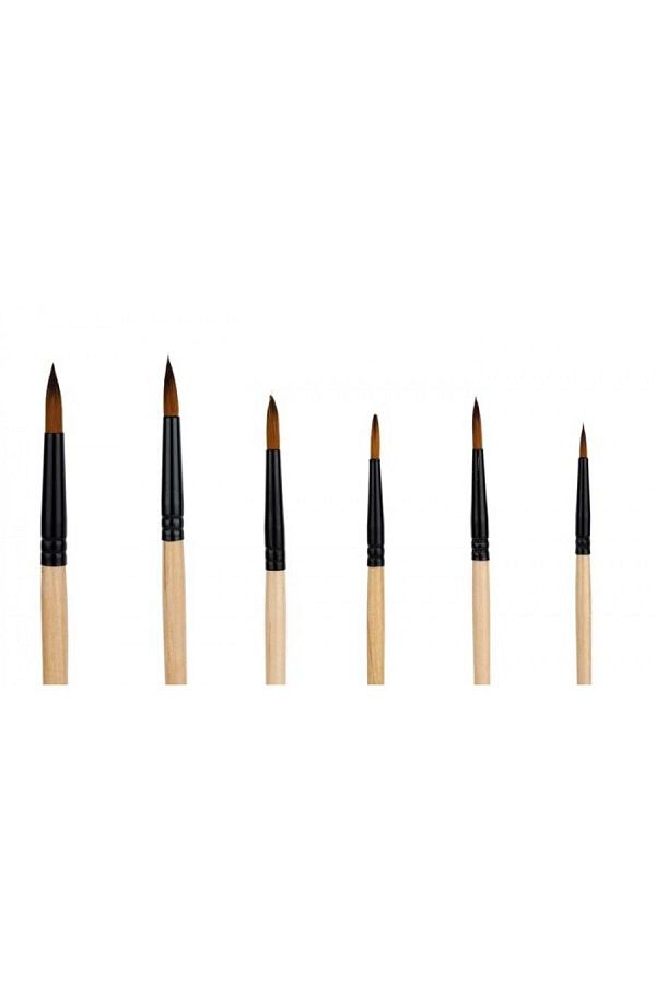 Rich-6-Piece Round Tip Brush Set 1