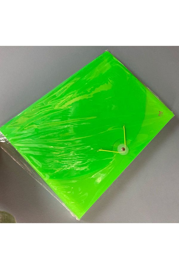 Umix-Green Color A4 Gusseted 13 Compartment Elastic Document File 1