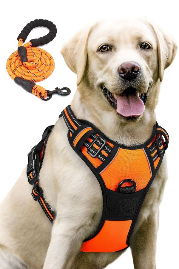ESPAW-Dog Leash with Reflectors and Walking and Training Set for Medium and Large Breed 1