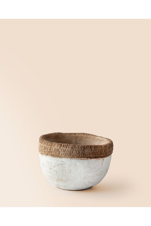 Madame Coco-Valerie Pot - S 1