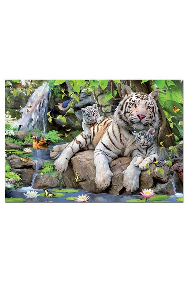 EDUCA-Puzzle Bengal White Tigers 1000 Piece Puzzle 1
