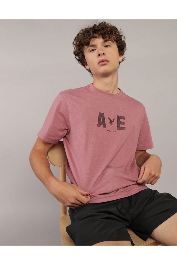 American Eagle Ae Logo Graphic T Shirt - Trendyol