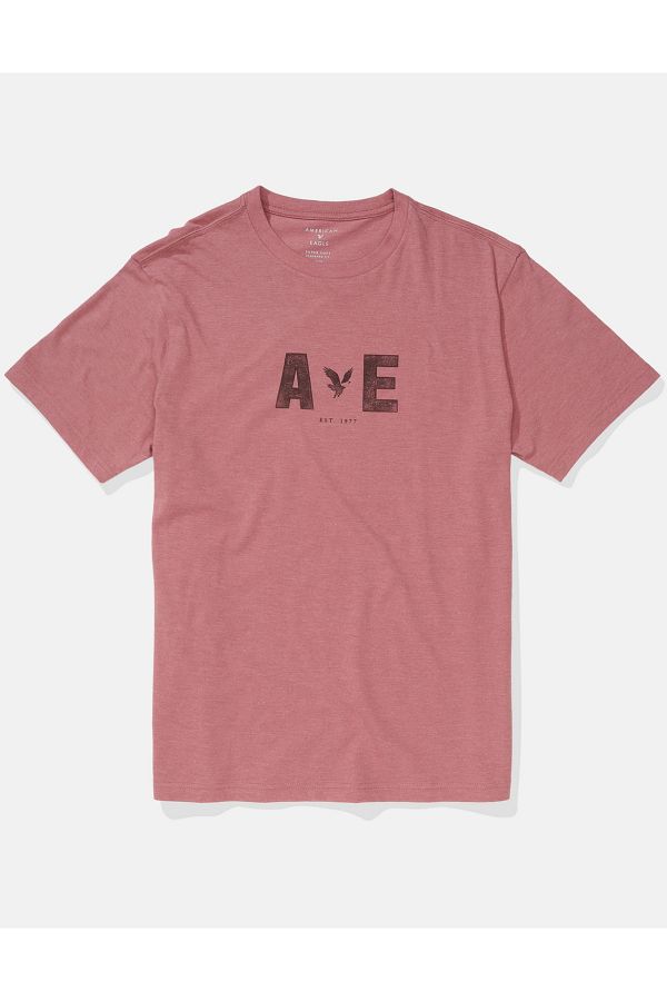 American Eagle Ae Logo Graphic T Shirt - Trendyol