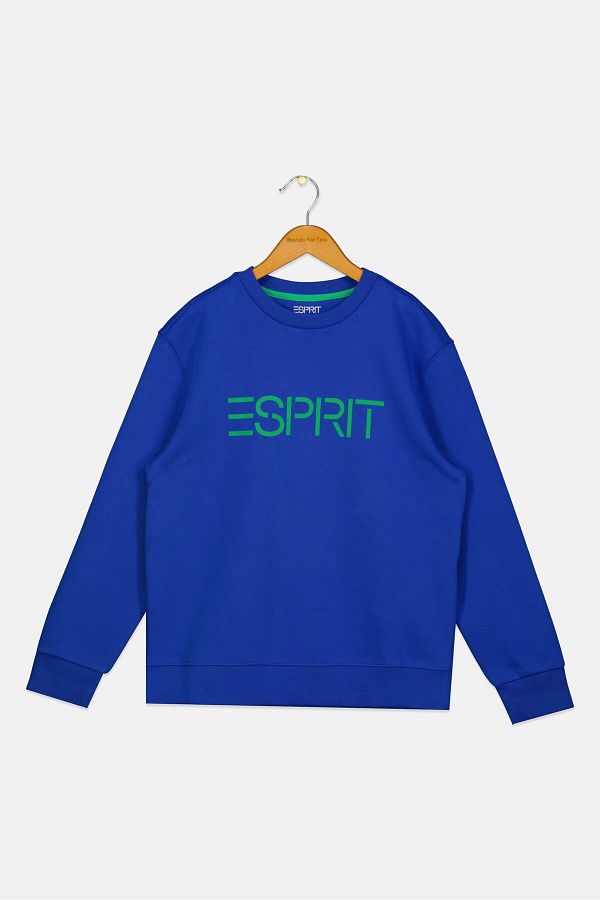 Esprit-Toddlers Boy Brand Logo Sweatshirts, Dark Blue 1
