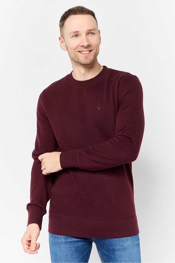 AMERICAN EAGLE-Men Crew Neck Embroidered Logo Long Sleeves Sweatshirt, Maroon 1
