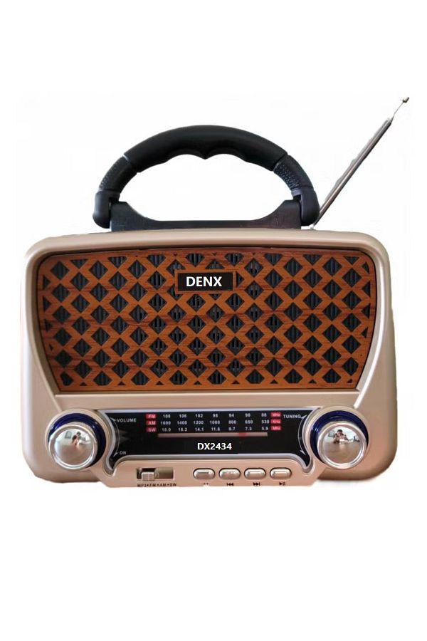 Denx-Dx2434 Rechargeable Hi-fi Radio With Remote Control, Large Capacity Battery 1