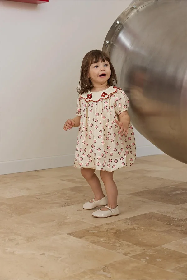 Tics-Tile Collar Embroidered Balloon Dress 1