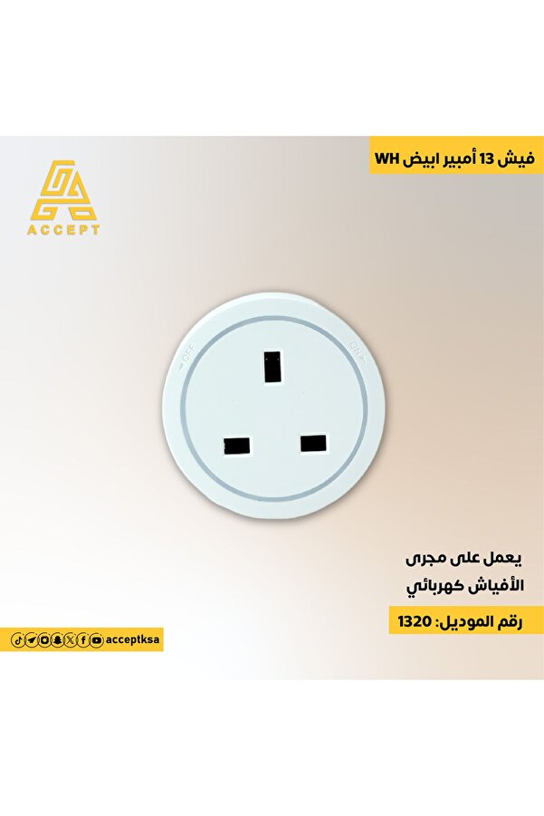 ACCEPT-13 Amp Electrical Plug Socket 1