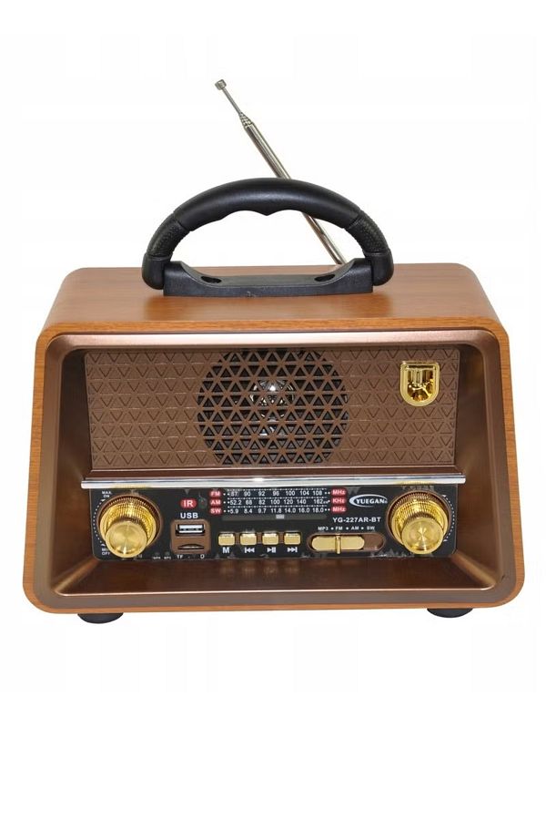 Denx-راديو HI-FI قابل لإعادة الشحن مع ريموت تحكم عن بعد، بطارية ذات سعة كبيرة، محمول ، راديو FM بنمط قديم 1