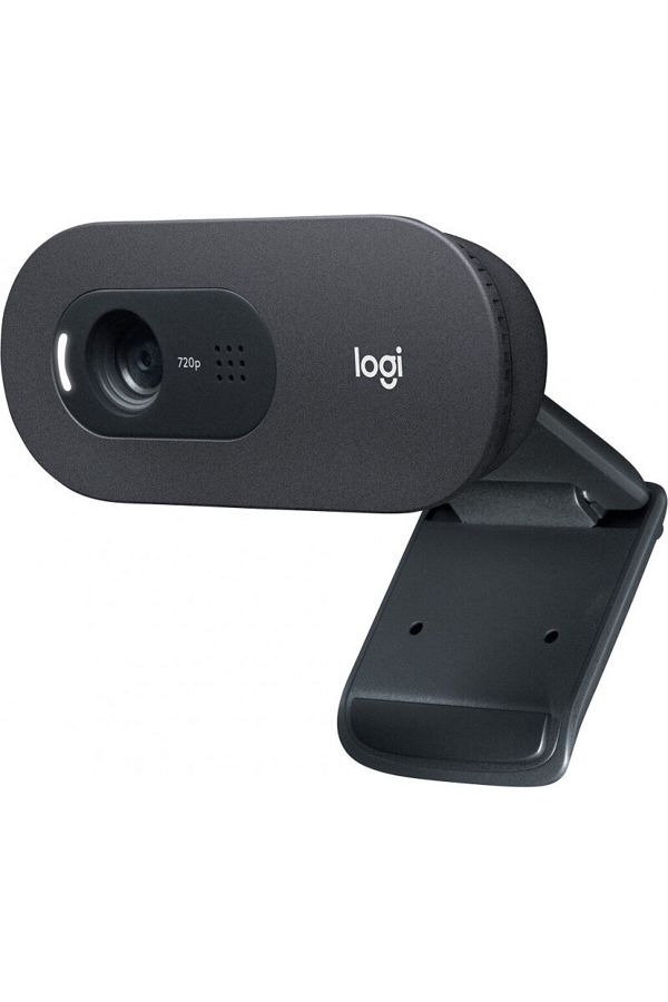 logitech-Camera web Logitech C505 1