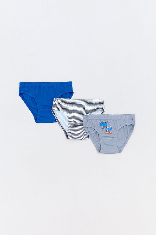 Fulla Moda-Dinosaur Printed 3-Piece Boy's Slip Panties 1