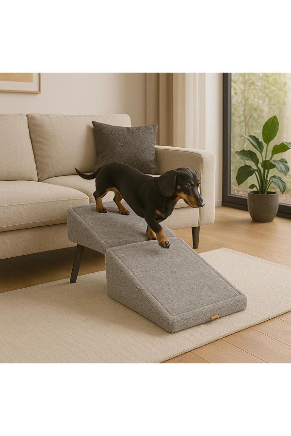 argedemo-Rampas Dog Bed Dog Ramp & Pouf Two Functions 1