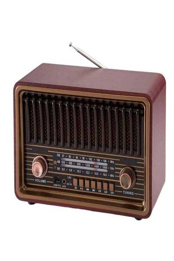 DLC-All In One 8W Radio With Remote AM/FM/SW Radio /USB Player /TWS /TF Player/BT Connect 1