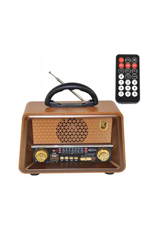 Denx-Rechargeable Radio with Remote Control, Large Capacity Battery, Portable, Classic FM Radio, Supports 1