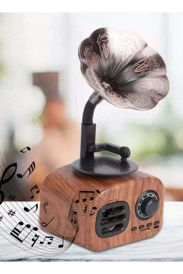 DLC-2 in 1 Wireless Bluetooth Speaker with FM Radio and MP3 Music. Attractive and distinctive shape It 1