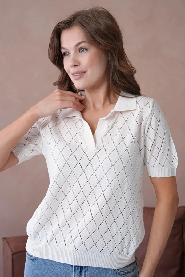 Park Karon-Polo Neck Openwork Short Sleeve Polo Knitwear Sweater 1