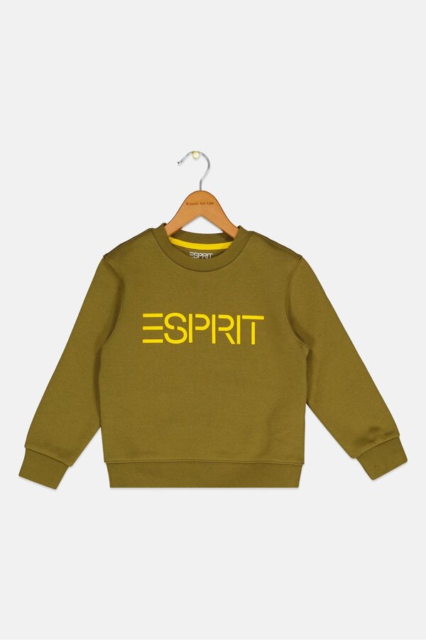 Esprit-Kids Boy Long Sleeves Brand Logo Sweatshirt, Khaki 1