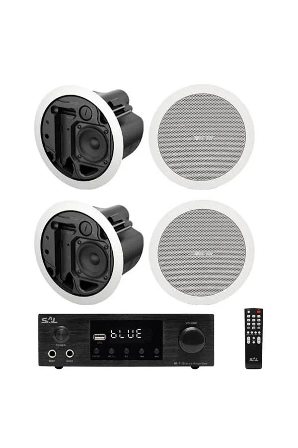 Bose-Bose Freespace FS2C ceiling speaker audio system with Bluetooth, USB, FM 1