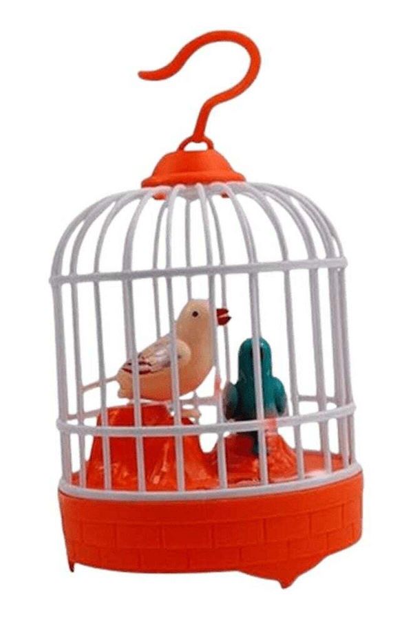 Generic-Hanging Singing Bird chirping and real time talk recording Toy 1