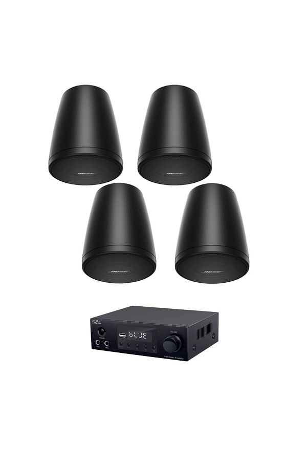 Bose-Bose Freespace FS2P Black Pendant System, USB, FM, bluetooth 1