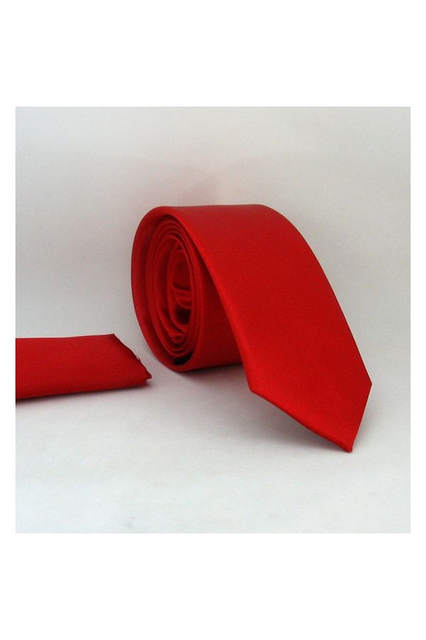 Gaffy-Red Slim Fit Solid Color Satin Tie with Handkerchief - Ss-02 1