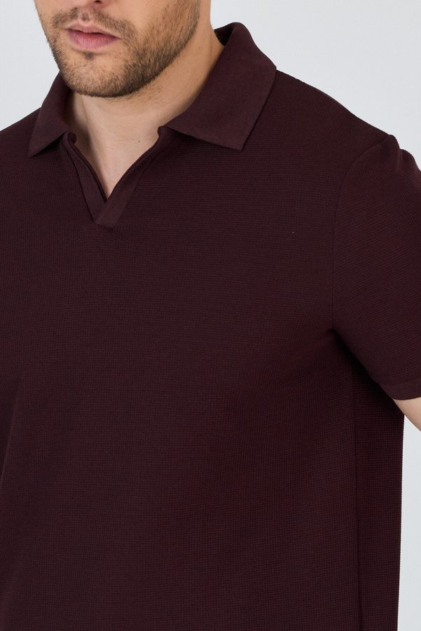Frappoli Venice Men's Burgundy Cotton Blended Polo Neck T-Shirt