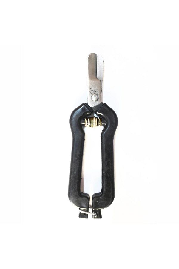CEKAVE-Ergün Citrus Scissors with Blunt Tip 1