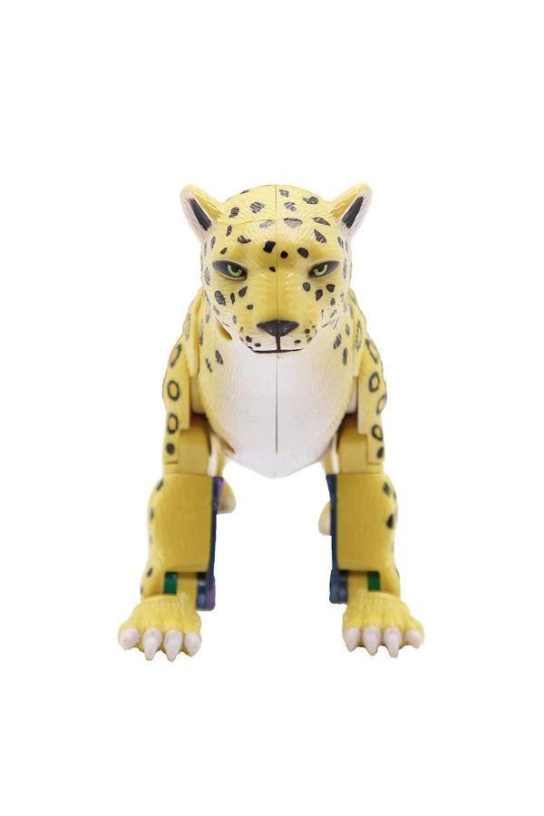 AC BOX-Warrior Leopard Transforming into Robot 1