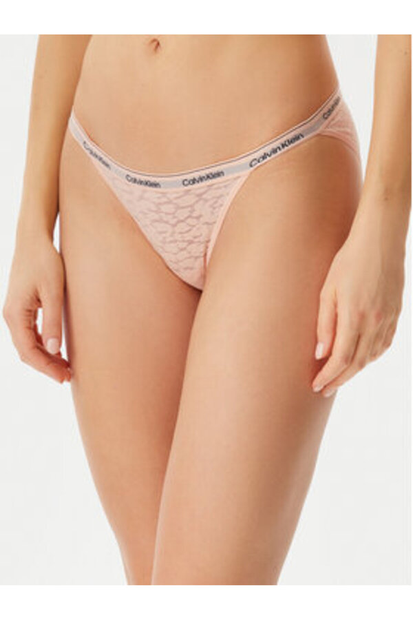 Calvin Klein-underwear Women's Classic Briefs 000QD5213E Pink 1