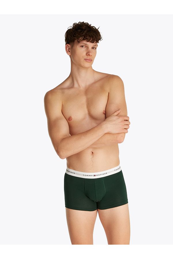 Tommy Hilfiger-Tommy Hilfiger Men Multicolored Trunk Pack of 3 1