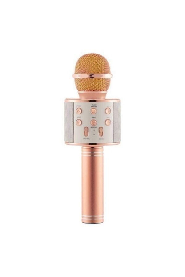 OEM-Wireless Karaoke Microphone with Built-in LED Speaker & Battery, Voice Change Function 1