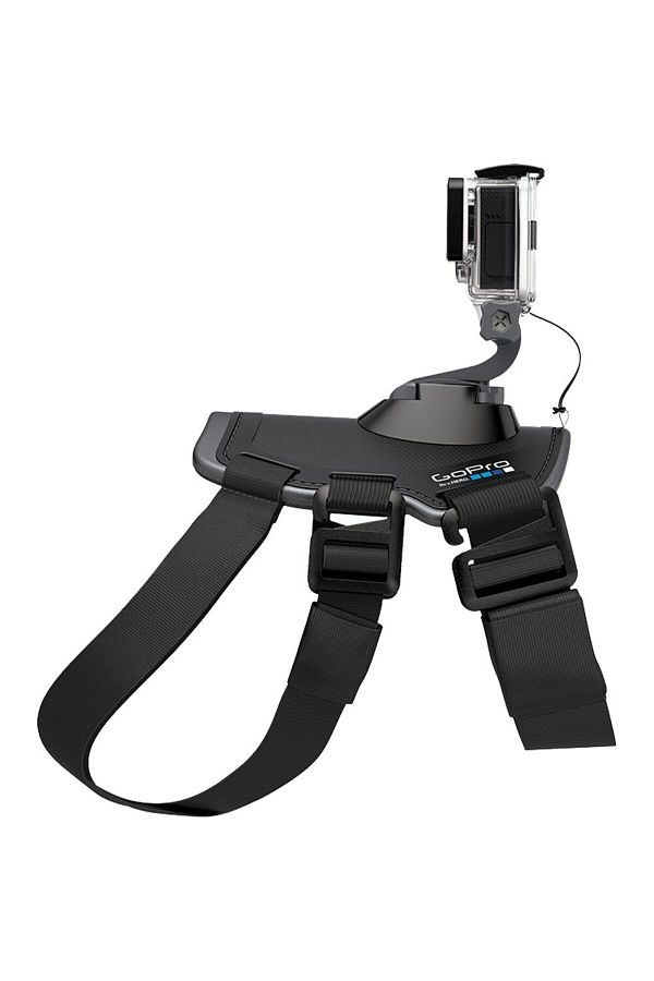 GoPro-Adjustable GoPro sports video camera harness for dogs 1