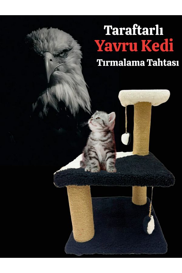 Komano Pontika-3 Layer Kitten Scratching Board with Fan Set/ 46 Cm/ Suitable for Kittens Gs/Bjk/Fb 1