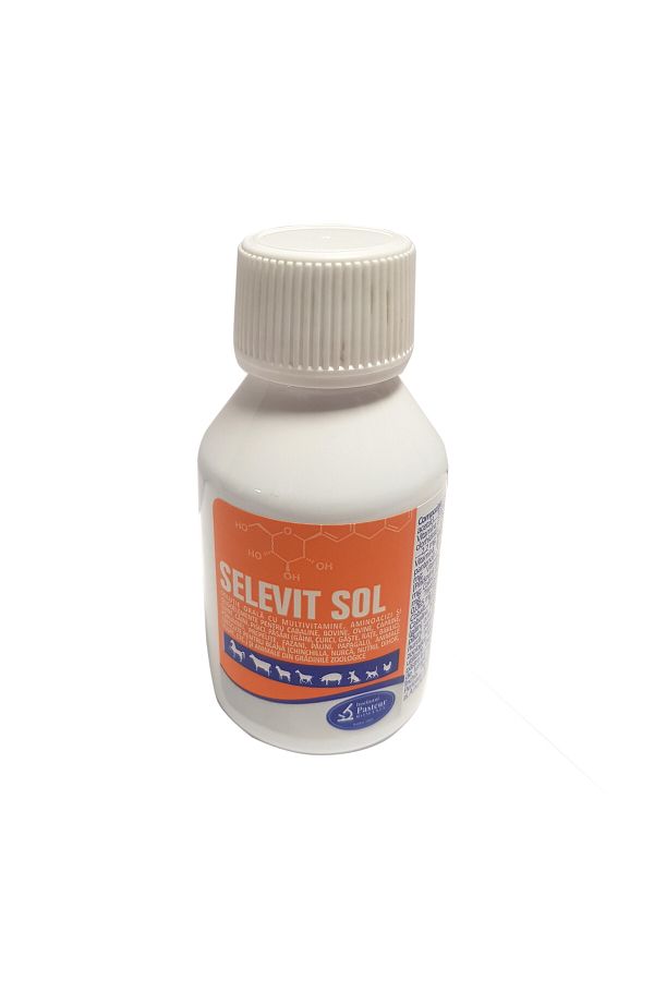 Pasteur-Oral solution with multivitamins for horses, sheep, cattle, goats, Pasteur, 100ml 1