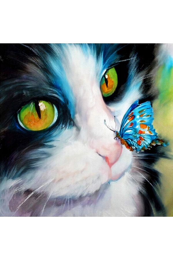 Pastelya-40 X 50 cm Butterfly on Cat's Nose - Painting Set with Numbers, Framed and Pulley 1