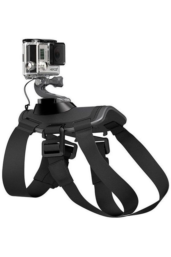 GoPro-Ham pentru caini GoPro Fetch ADOGM-001 1