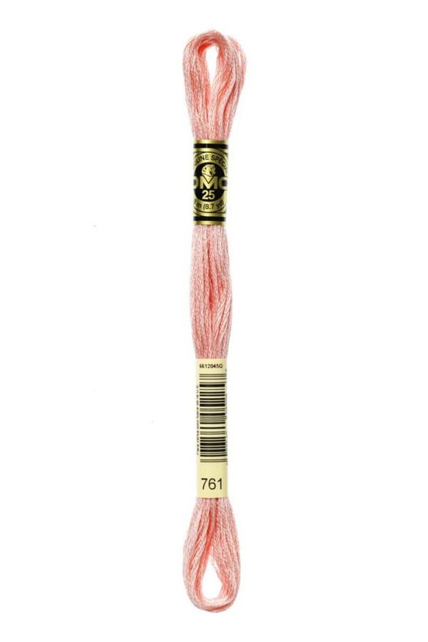 Dmc-Muline Thread 761 1