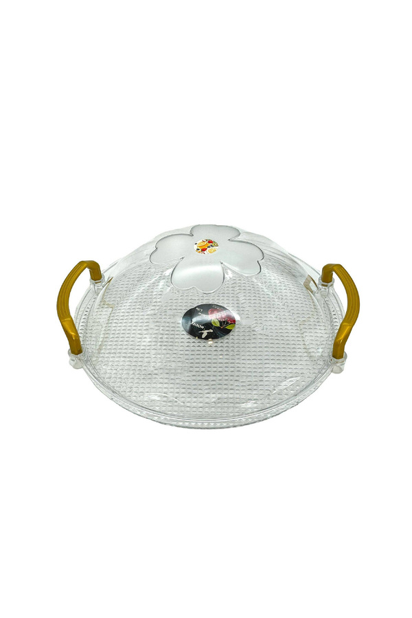 rexa-Cake Plate with Serving Tray with Handle Multifunctional Clear Serving Platter with Lid | 28 x 28 1