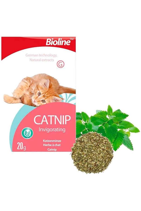 Badem Akvaryum-Bioline Catnip Natural Cat Mint 20 Gr 1
