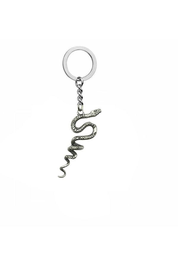 Herşey Nota-Unisex Keychain with Entwined Snake Figure – Mystical Design with Transformation and Protection Theme 1