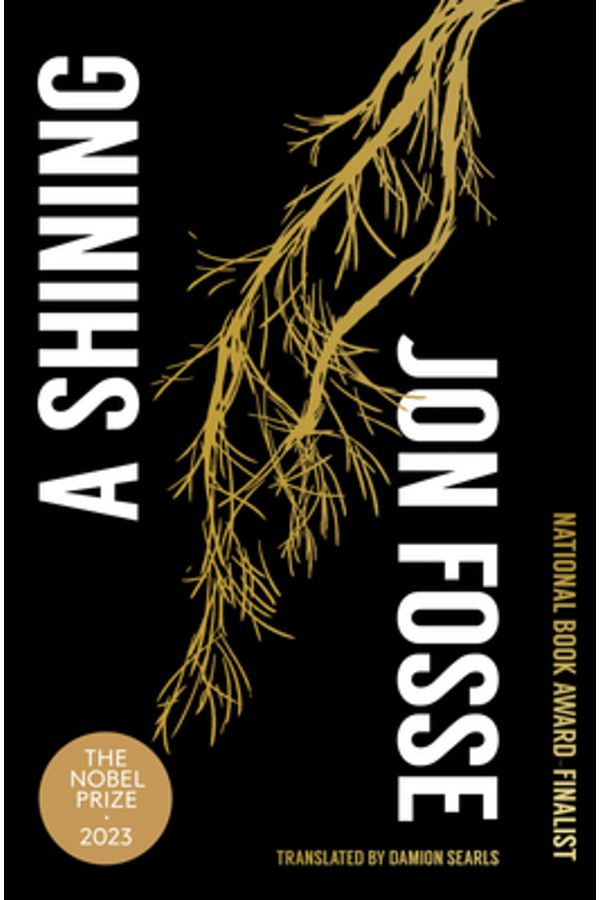 Transit Books-A Shining 1