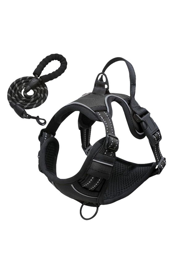 LUDORA-Dog Harness and Leash Set ®, Soft Lining, Breathable Material, Comfortable 1