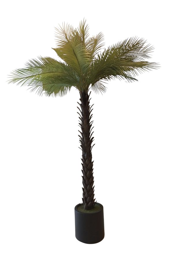 Generic-2.1m artificial palm trees 1