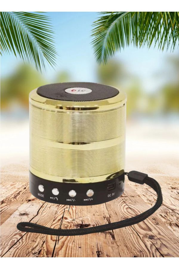 DLC-Mini USB and SD Card Rechargeable Speaker Random Color 1