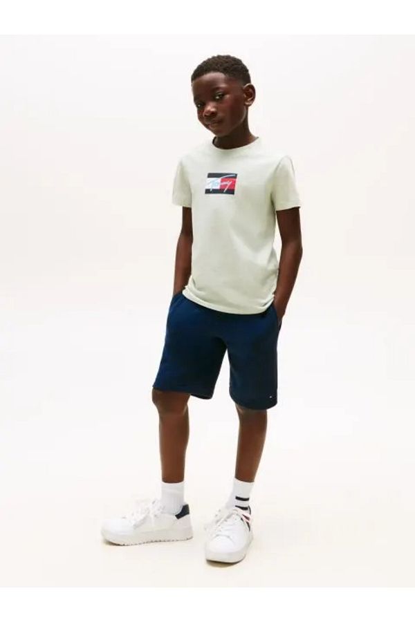 Tommy Hilfiger-TOMMY SCRIPT FLAG PRINT TEE SS 1