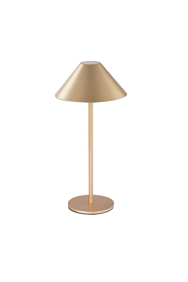 Tescomak-Rechargeable touch LED table lamp, 3 gold color temperatures 1